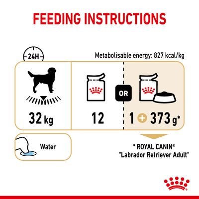 Royal Canin Labrador Retriever Adult în sos