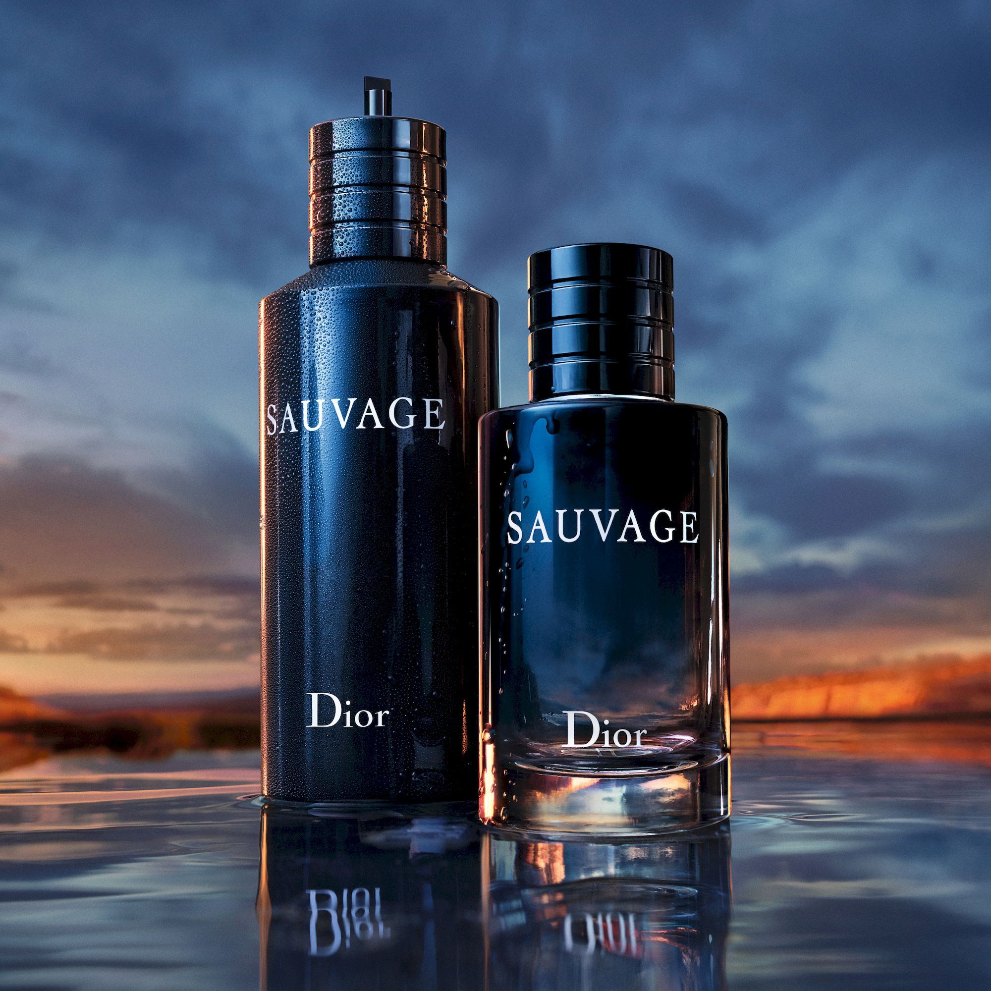SAUVAGE Eau de Toilette Parfemi za muškarce