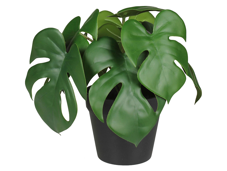 Sztuczna monstera w doniczce 23 cm