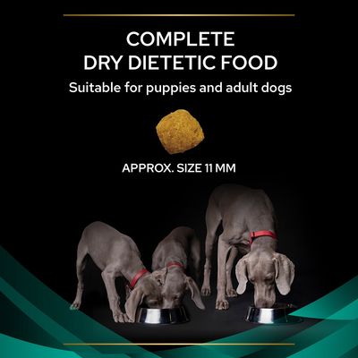PURINA PRO PLAN Veterinary Diets EN Mave-tarm
