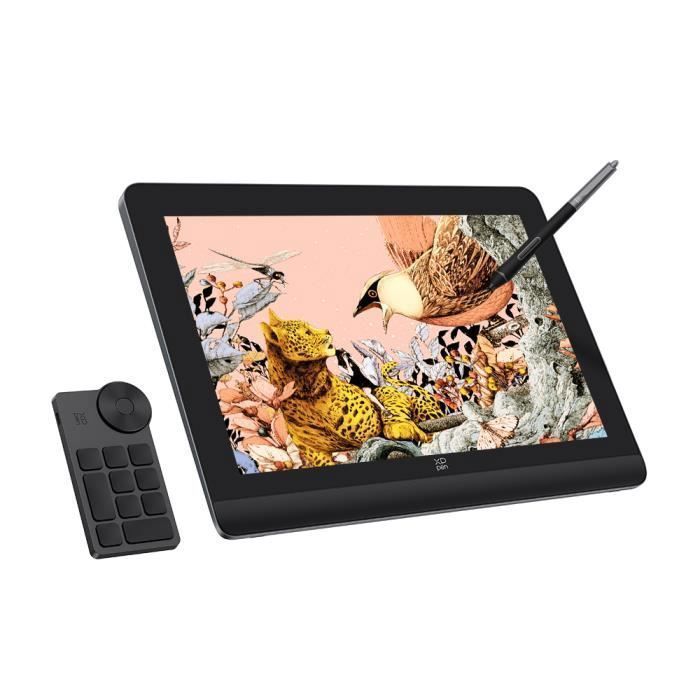 Tablette Graphique - XP-PEN - Artist Pro 16 (Gen 2) - Ecran 16 Pouces - Stylet X3 Pro - 16K Niveaux