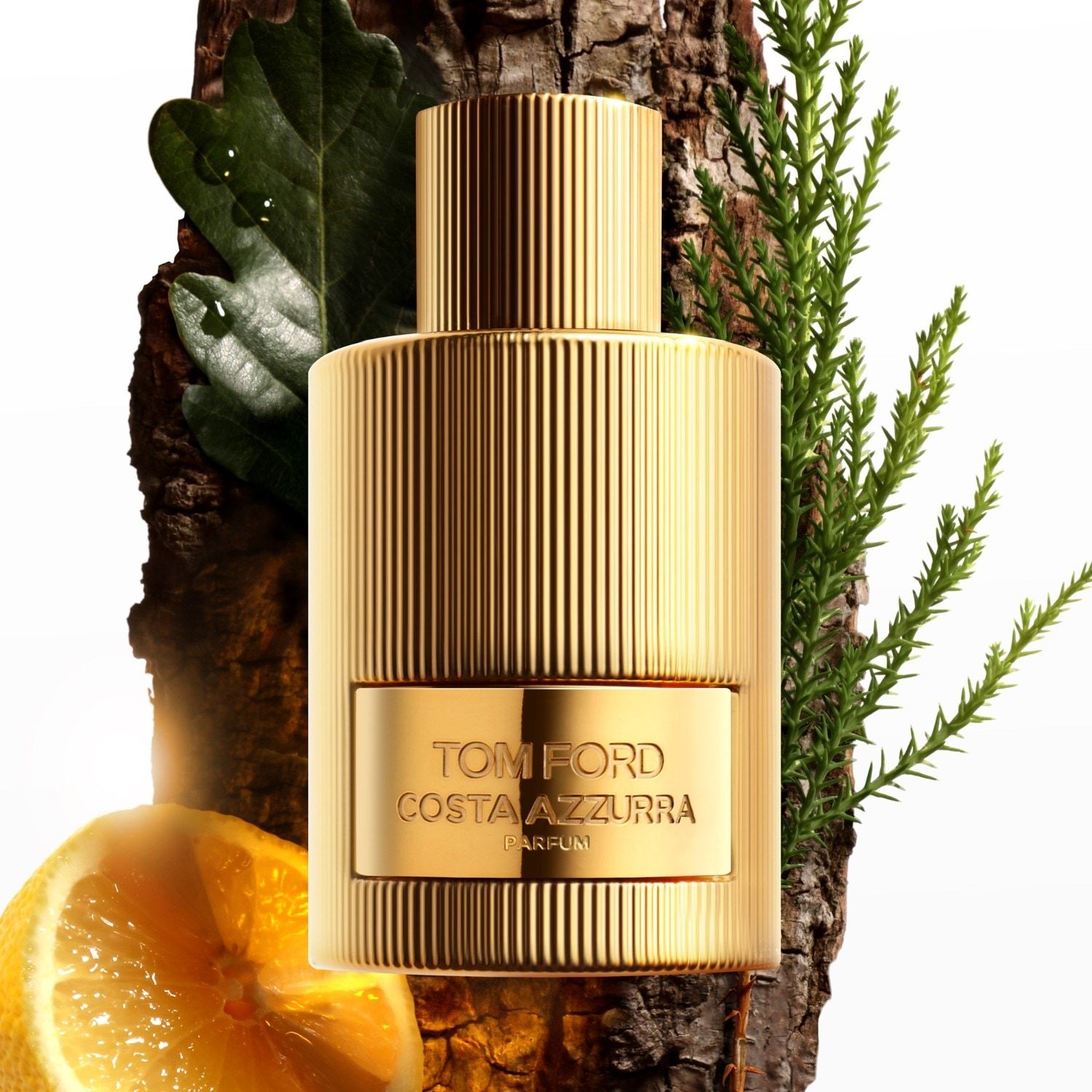 TOM FORD Smaržas Signature Fragrances Costa Azzurra Parfum - 100 ml