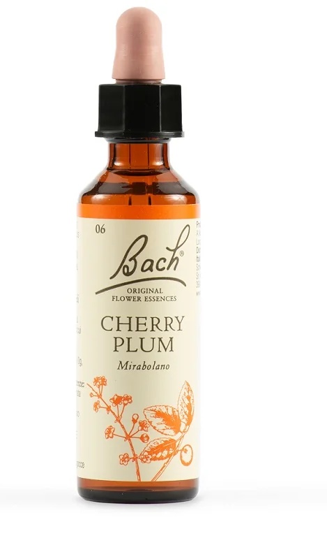 SCHWABE Schwabe Bachblüten 06 Kirschpflaume Tropfen 20 ml