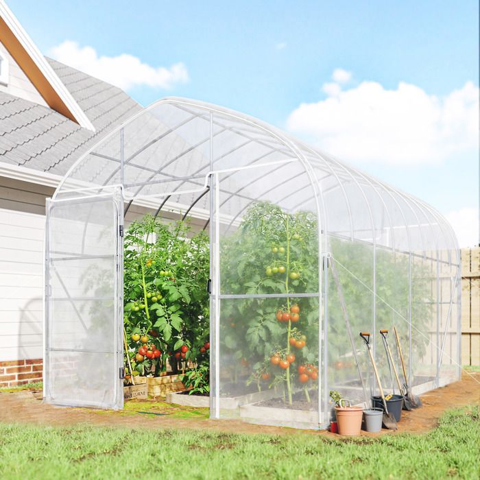 Invernadero tipo túnel Outsunny de 12 m² para cultivo de tomates - Acero galvanizado de 25 mm con película antigoteo - 296 x 391 x 267 cm - Transparente
