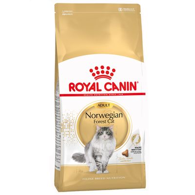 Royal Canin Norwegische Waldkatze (Erwachsen)