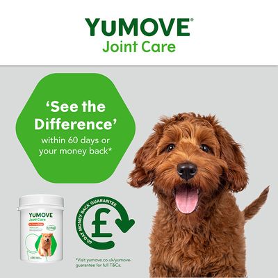YuMOVE Gelenkpflege für junge Hunde