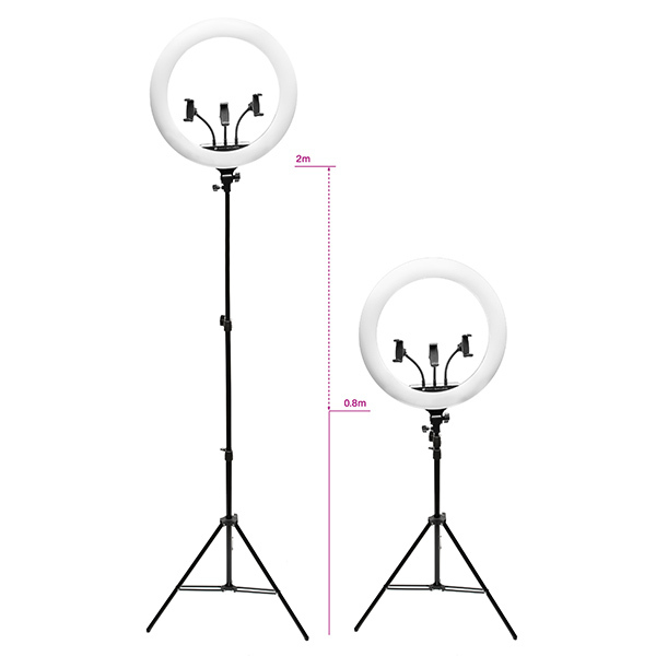 Rio Professionelles dimmbares LED-Ringlicht für Make-up und Vlogging