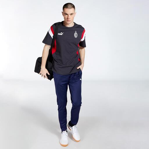  Teamliga Puma