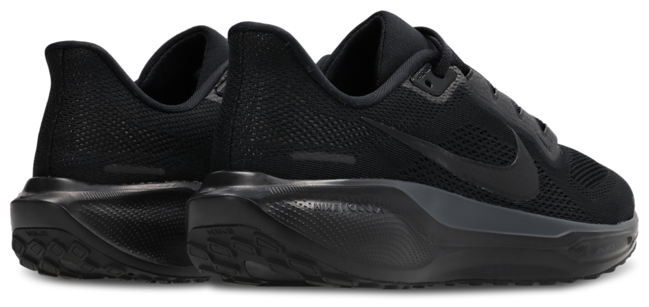 Nike Pegasus 41