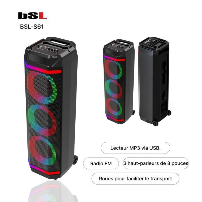 Enceinte Bluetooth BSL-S61 50 W, microphone intégré, radio FM/USB MP3, fonction karaoké USB-C
