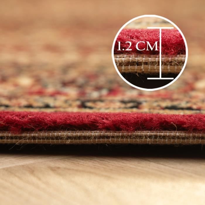 Tapis oriental traditionnel classique optique Perse ornements rouge sable noir [200x290 cm]