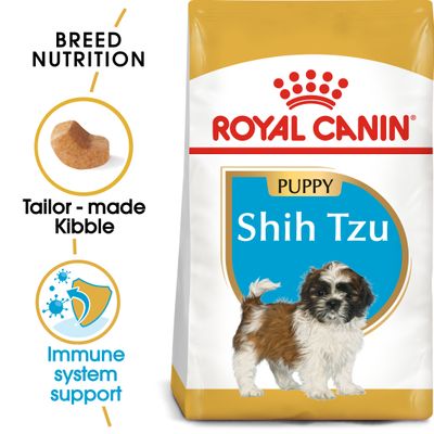 Cucciolo di Shih Tzu della Royal Canin