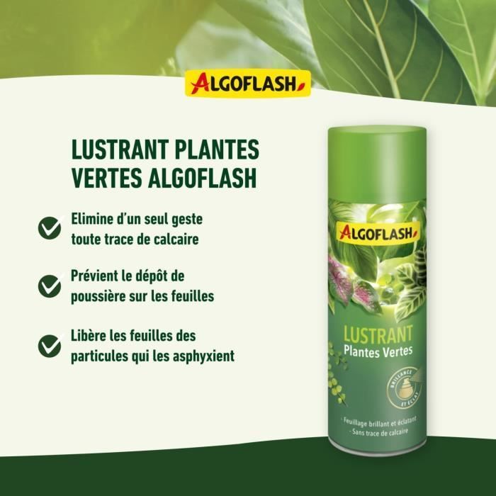 ALGOFLASH - Green Plant Polish 250 mL