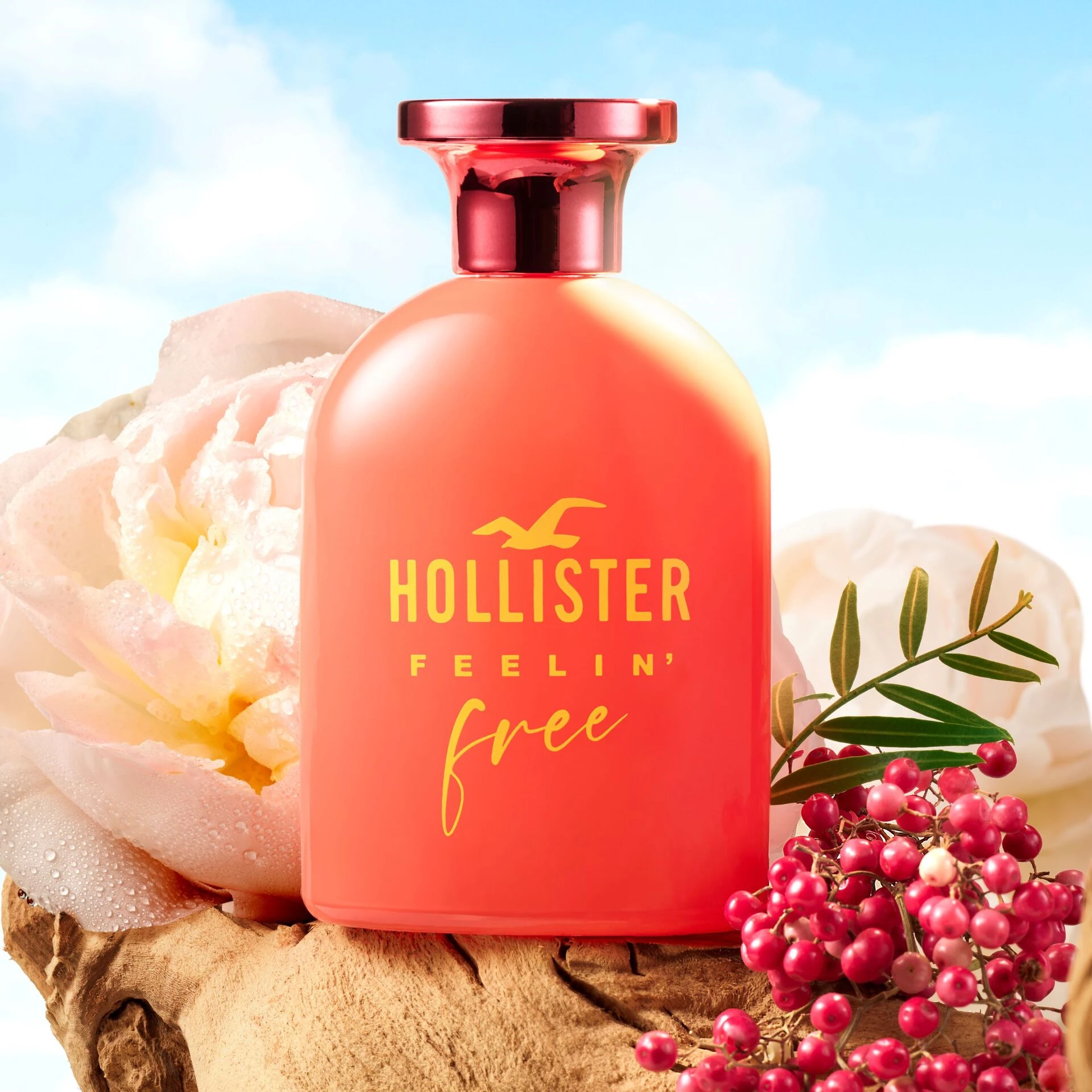 Hollister toaletna voda Feelin' Free za njo 30 ml