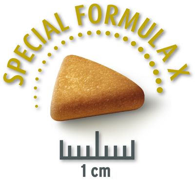 Concept for Life Mini Senior