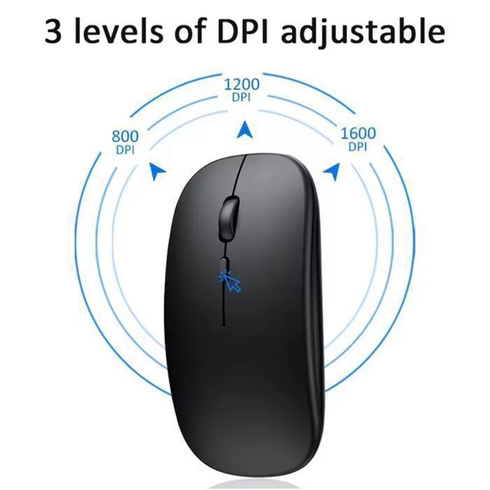 Rechargeable Wireless Mouse, Black, Silent, RGB LED, 2.4GHz, Adjustable DPI, Ergonomic, for PC/Mac/Computer
