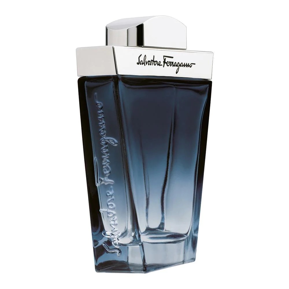 Salvatore Ferragamo Subtil Pour Homme