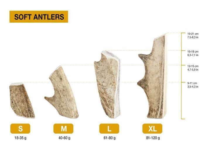 RF - DEER Bois de Daim XL, 81-120g, 18-21 cm, Soft, 100% Naturel Bâtonnets Jouets à mâcher pour Chiots et Chien