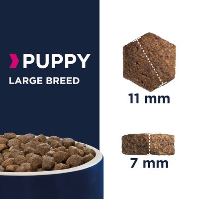 Eukanuba valp stor rase - kylling