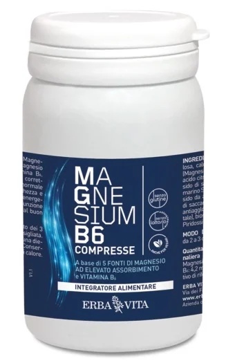 ERBA VITA Erba Vita Magnesium B6 dodatak magnezija i vitamina B 60 kapsula