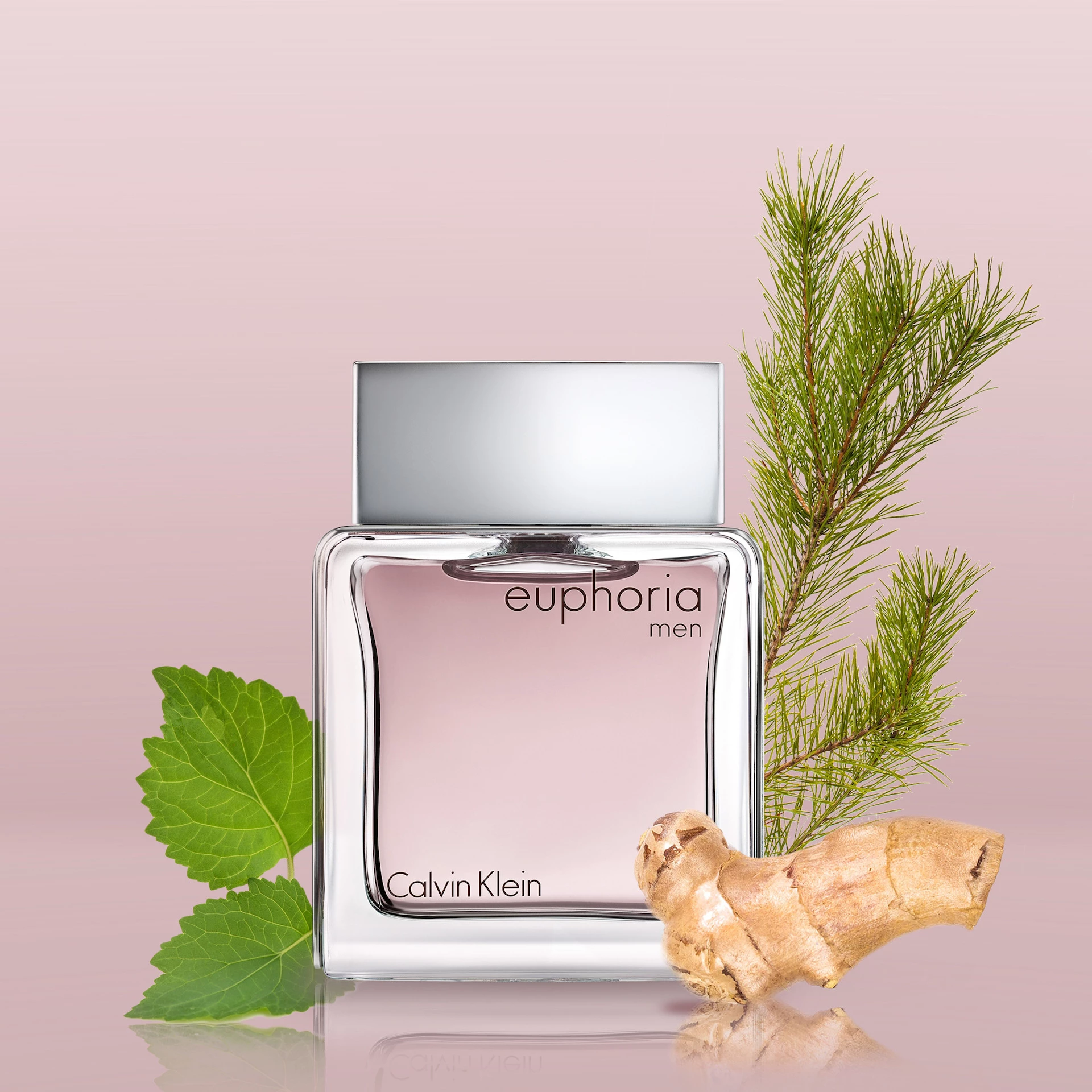 Euphoria Men toaletna voda 50 ml - Calvin Klein