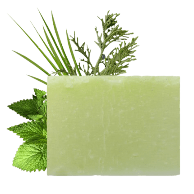 Savon artisanal Vétiver - Menthe - végétal & SAF