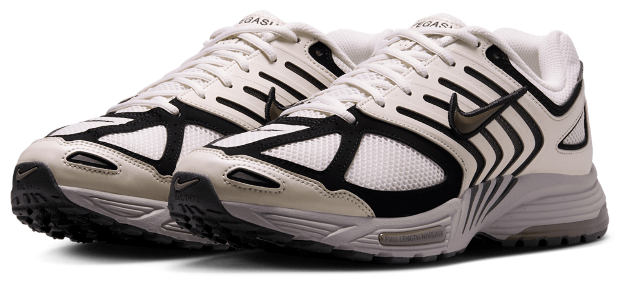 Nike Pegasus 2005