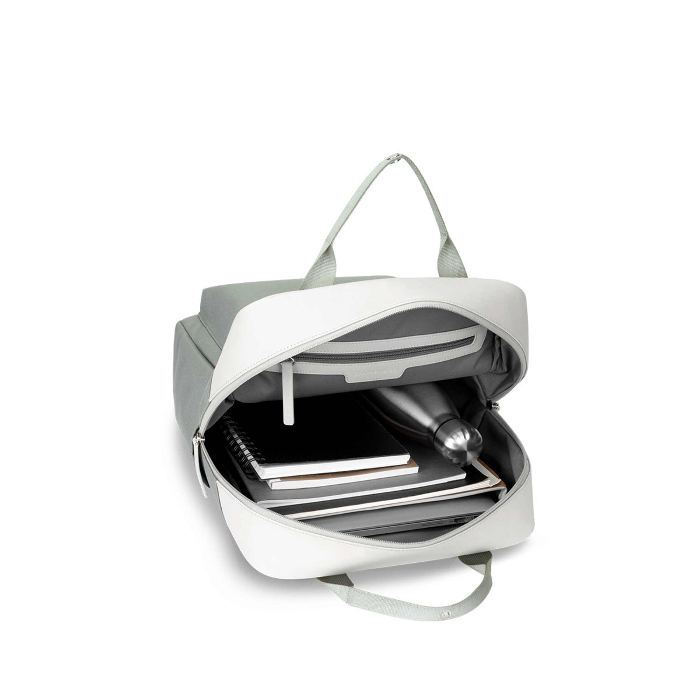 Sauge de Bergen à petite taille et à feuillage discret