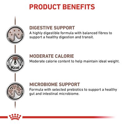 Royal Canin Veterinary Cat - Gastrointestinal Moderat kalorieindhold i sovs