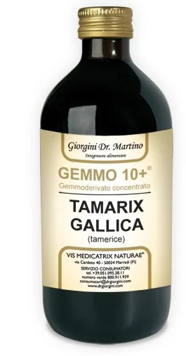 DR. GIORGINI Tamaryšek 500 ml Analco Gemmo10+