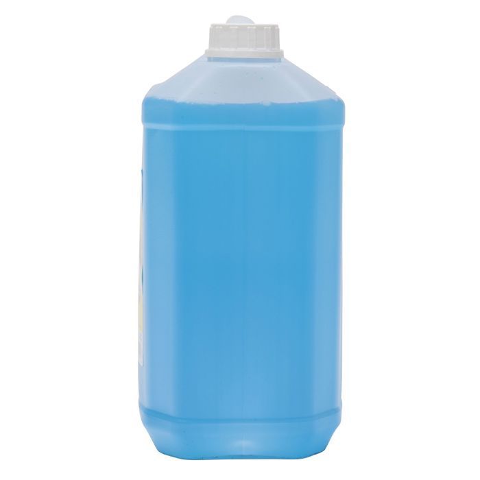 5L Windshield Washer Fluid, Summer Special