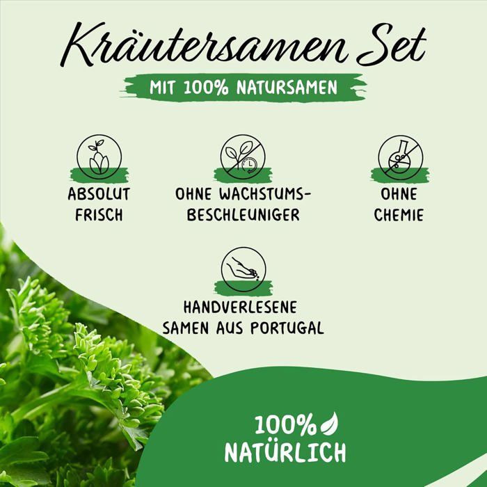 Kit de Sementes de Ervas PRADEMIR - 16 Variedades de Ervas Aromáticas - Sementes 100% Naturais - Variedades Mais Populares