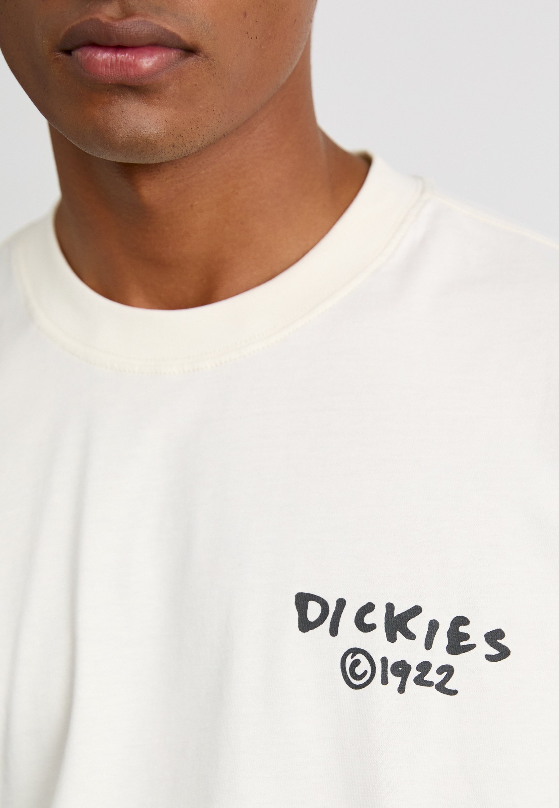 T-shirt stampate Dickies