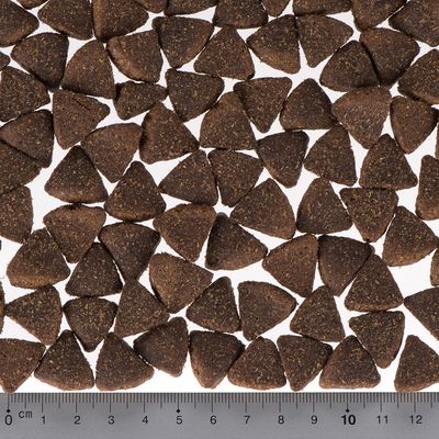 Briantos Adult Active