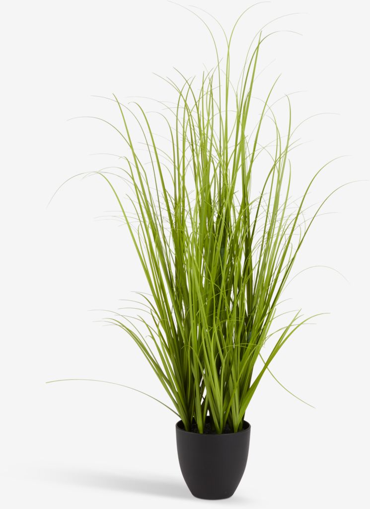 MARKUSFLUE Umjetna biljka MARKUSFLUE trava V150 cm