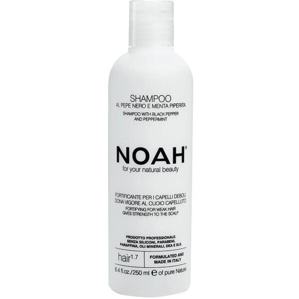 Noa 1.7