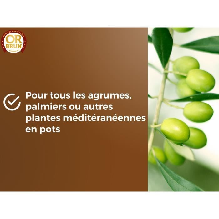 Sustrato para cítricos y plantas mediterráneas - OR BRUN - OBRTAGR6U - 6L - Olivos, palmeras y cícas