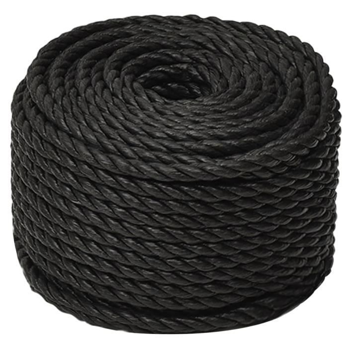 153012 VidaXL Cuerda de trabajo negra 10 mm 50 m Polipropileno