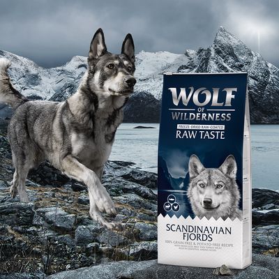 Wolf of Wilderness « Fjords scandinaves » - avec renne, poulet et saumon