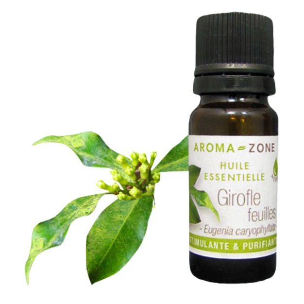 Olio essenziale di chiodi di garofano biologico