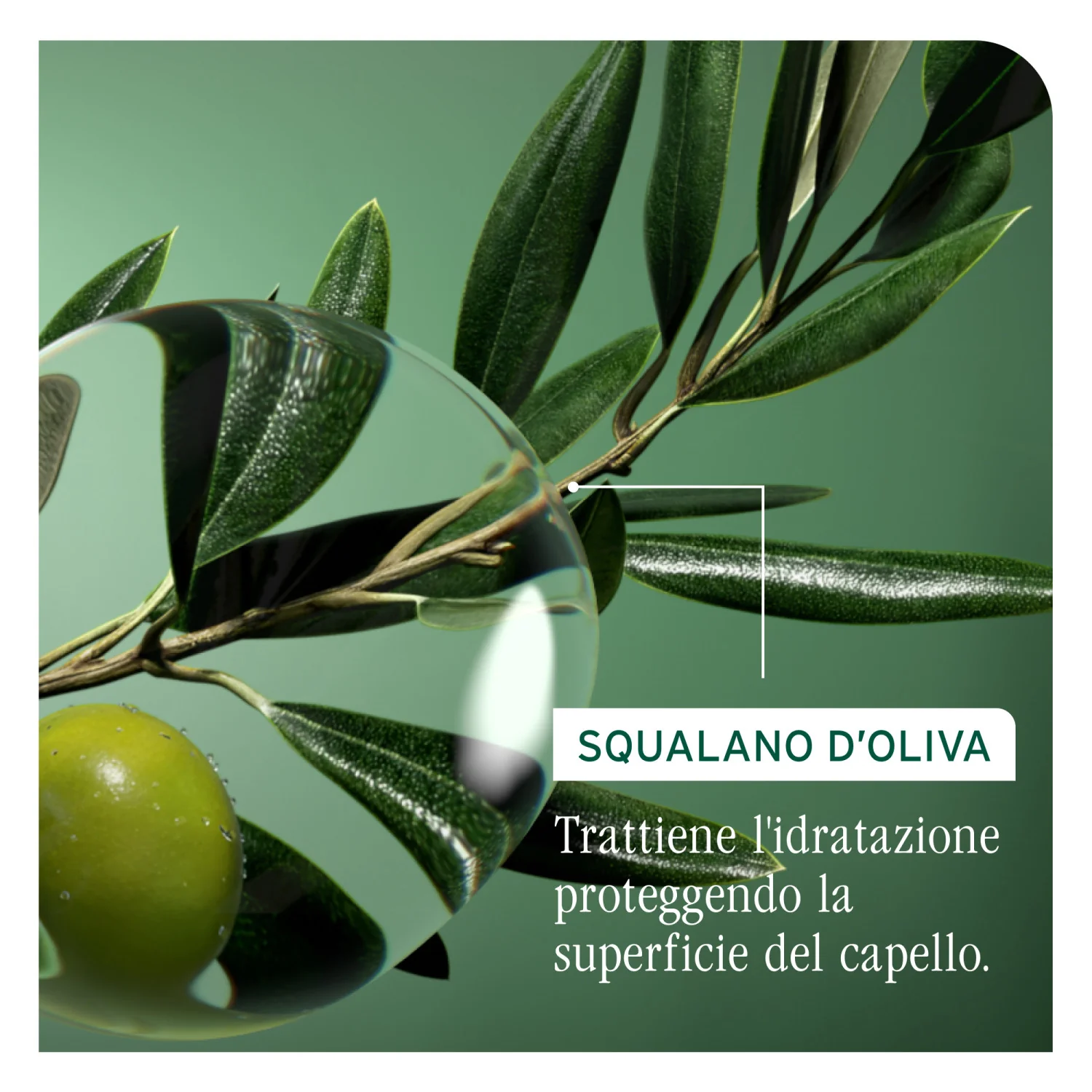 Strength Recovery Conditioner - Balsamo Rinforzante Capelli