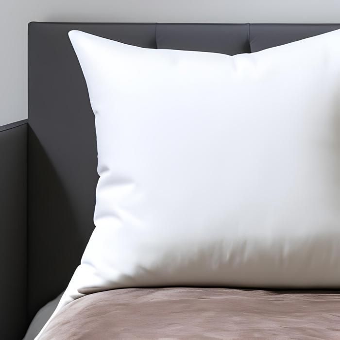 Almohadas - PROMOCIÓN DE LINO - Poliéster - 60x60 cm - Blanco (Juego de 2)