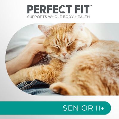 Perfect Fit Senior 11+ Reich an Hühnchen