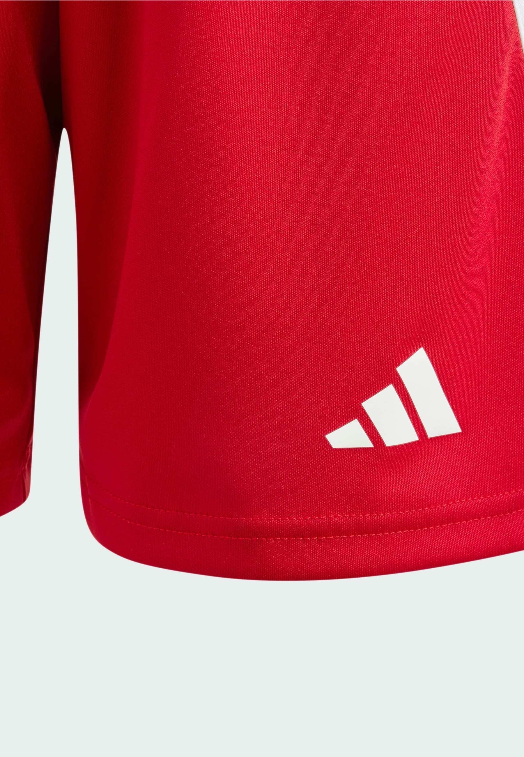 adidas Performance FORTORE - Sportshorts - roodweiss