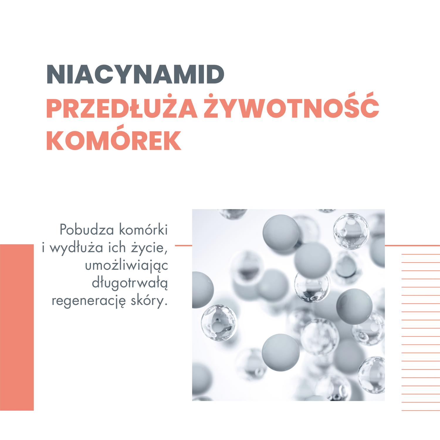 Avène Hyaluron Activ B3