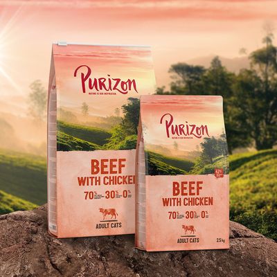 Purizon Adult Bœuf sans céréales avec poulet