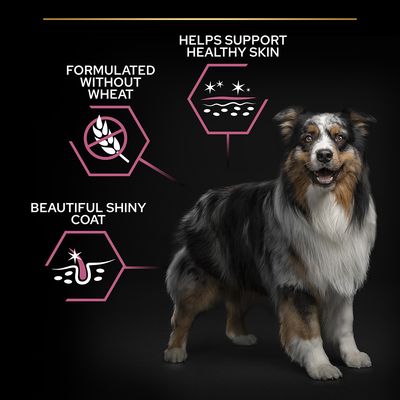 PURINA PRO PLAN Średnio dorosły skóra wrażliwa