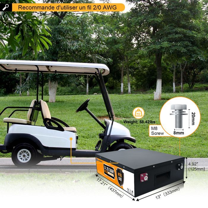 ECO-WORTHY Batterie Lithium LiFePO4 48V 50AH,Batterie Vehicule, protection BMS pour système solaire,camping-car,bateau