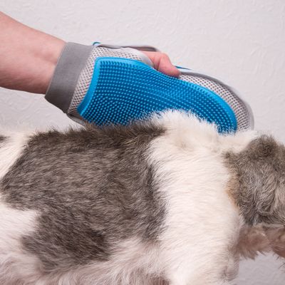 Doppelseitiger Wellnesshandschuh