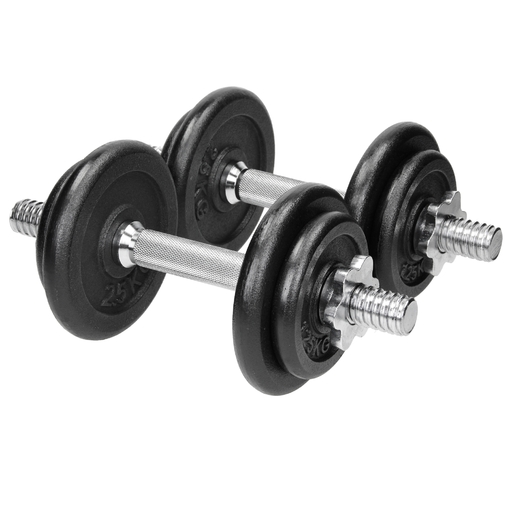  Conjunto de halteres de ferro fundido, 2 x 10 kg, para exercícios e condicionamento físico.